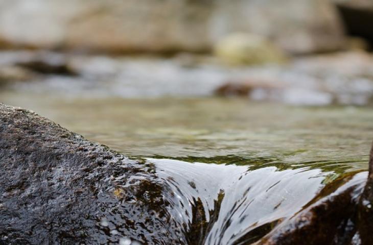 La qualità dell'acqua passa dalla protezione delle fonti