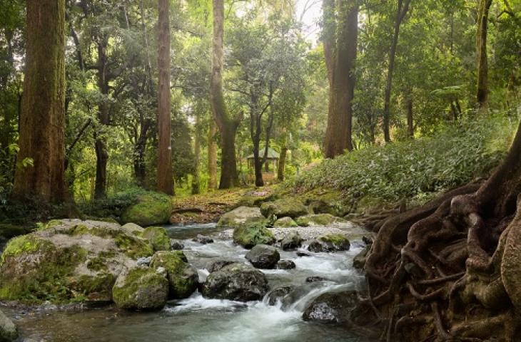 Il futuro dell'acqua passa dalla gestione del territorio