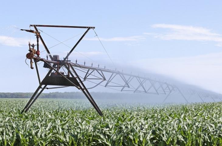 Agricoltori californiani: la tecnologia per risparmiare acqua
