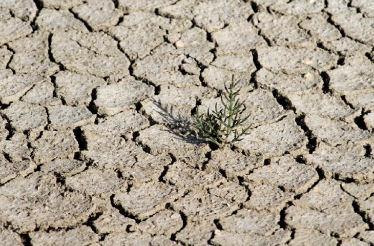 Un'alleanza mondiale per affrontare i cambiamenti climatici