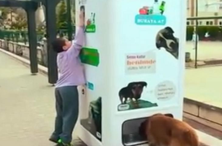 Smart Recycling Boxes, la macchina che regala cibo per cani e gatti