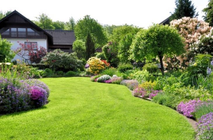 Come mantenere verde il giardino evitando eccessivo consumo d'acqua 