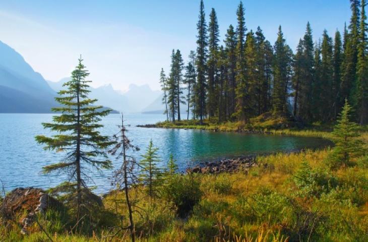 In Canada la tutela della natura è una "questione di Stato" 