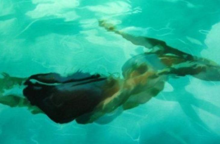 Altro che foto, dal genio di Sarah Harvey arrivano i dipinti "Under Water"