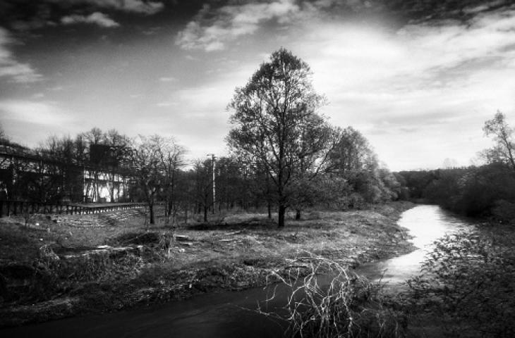 Il significato sociale dell'acqua nella mostra fotografica "Water"