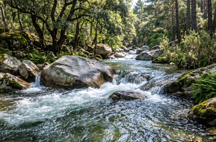 L’acqua, simbolo del cambiamento. Perché continuiamo a pensare in modo liquido