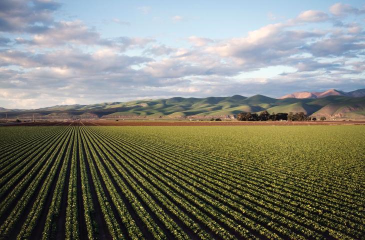 Agricoltura: le imprese più sostenibili sono le più competitive