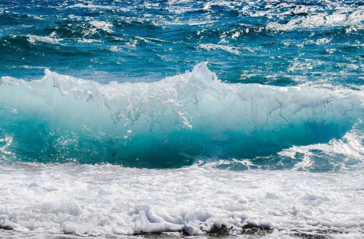 Inquinamento acustico degli oceani: il rapporto ONU
