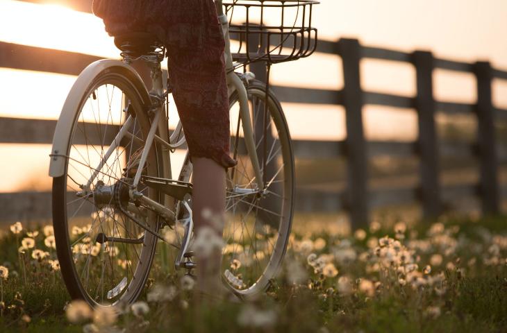 SA(L)VALA, 65 km in bici alla scoperta di cultura e sostenibilità