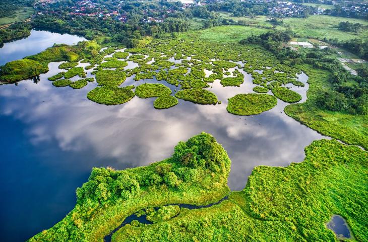 Biodiversità: Europa leader nel mondo nella ricerca 