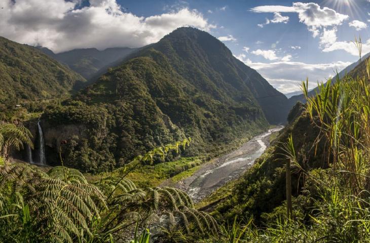 Rewilding. Riparare gli ecosistemi con un processo naturale