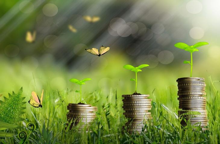 La Green economy accelera in Italia con 531mila imprese