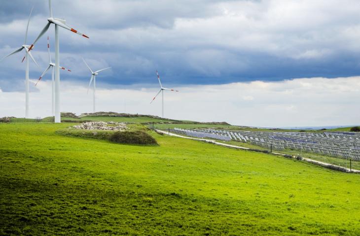 Nature Restoration Law, cos’è e perché è importante