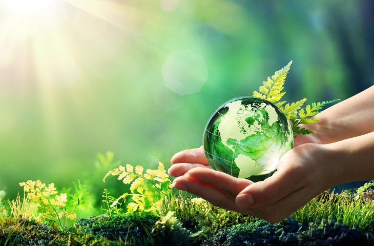 Che cos’è il Net Zero e perché è importante misurare la sostenibilità nella transizione energetica