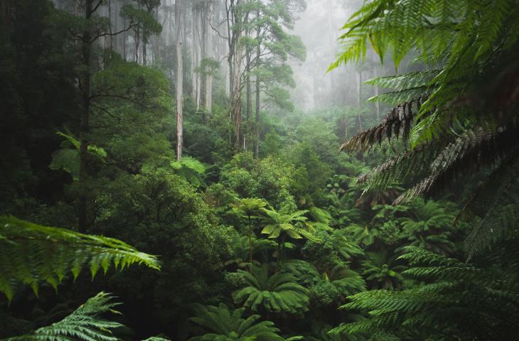 Report IPCC: cos'è, cosa contiene e perché è importante