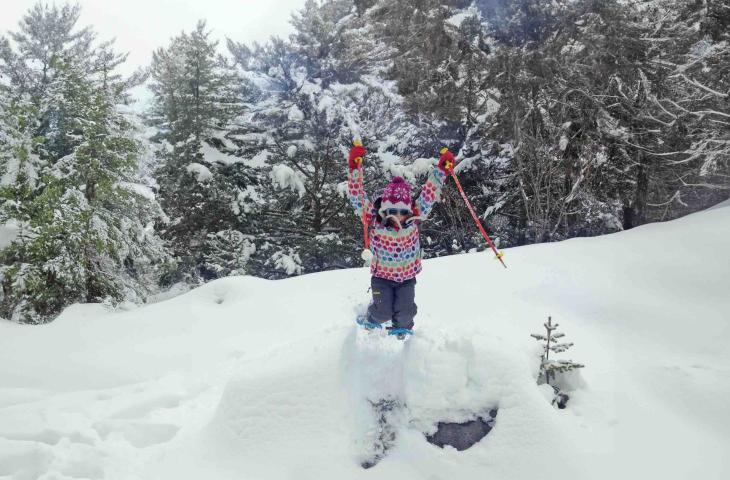 Regali di Natale sostenibili: 6 idee originali green da non perdere