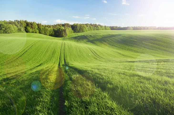 Le parole più usate nel 2024 legate a clima ed ambiente