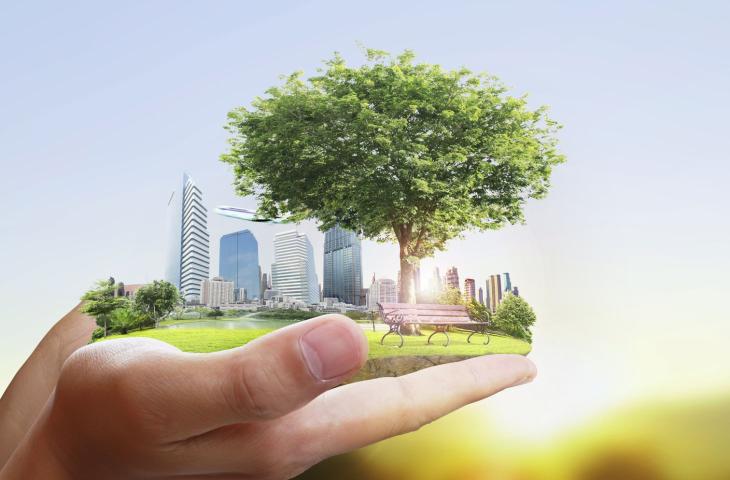 Tutto quello che c'è da sapere sui Crediti di Carbonio