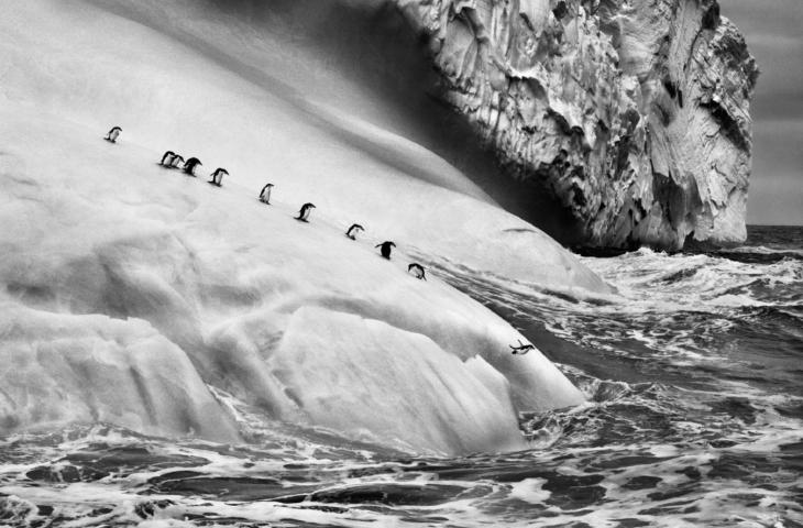 “Ghiacciai”, la mostra fotografica di Sebastião Salgado 