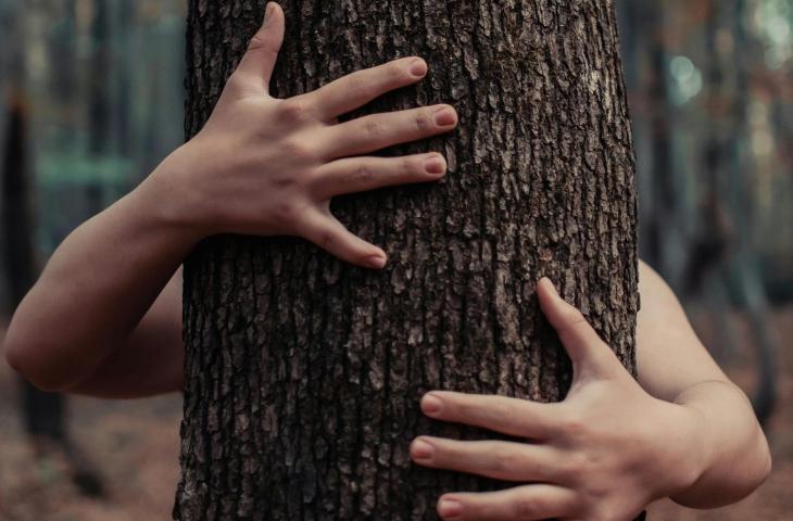 National Love a Tree Day: un abbraccio verde per il futuro del pianeta