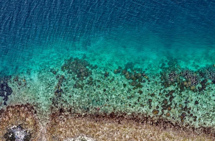 Perché l’acqua è trasparente: una questione di luce