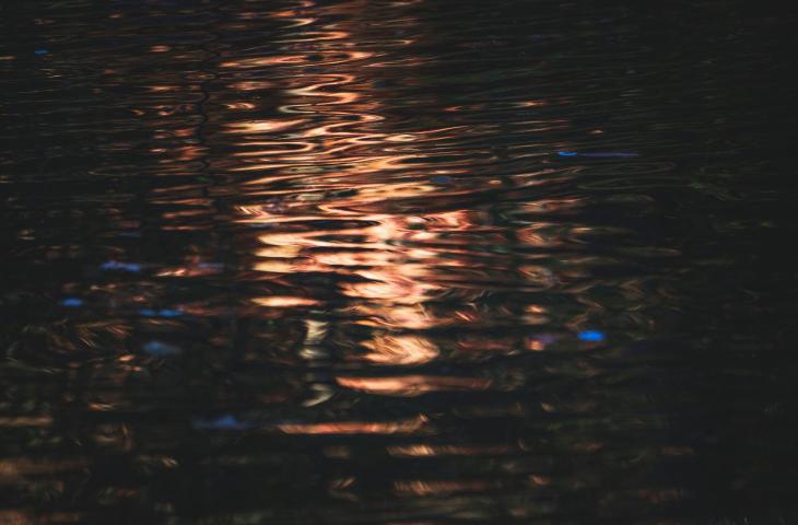 Artisti contemporanei e l’acqua come fonte d’ispirazione: da Olafur Eliasson a Bill Viola