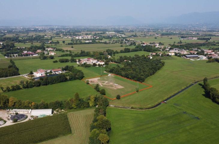 La Giornata Mondiale degli Alberi, un giorno per celebrare i polmoni verdi del pianeta