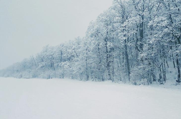Dove nasce la neve: il viaggio invisibile di una goccia d’acqua