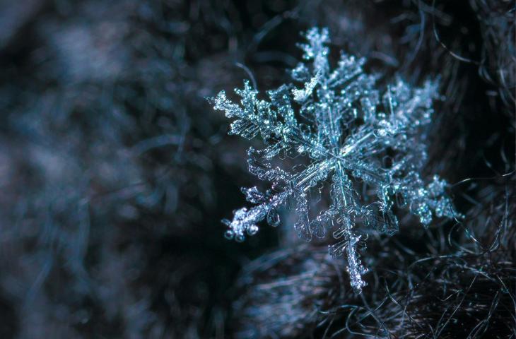 Perché ogni fiocco di neve è diverso: la scienza delle forme