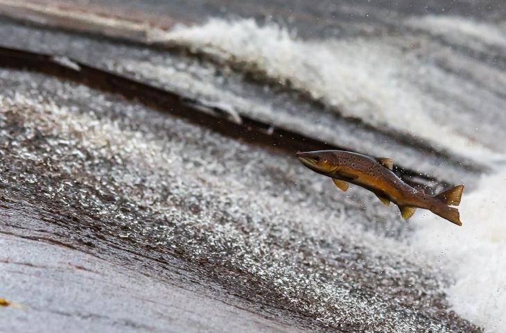 Come si misura quanta acqua dolce è presente sulla Terra?