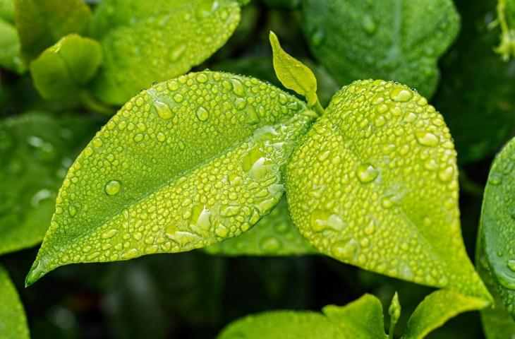 Le 10 regole fondamentali per rispettare l'ambiente