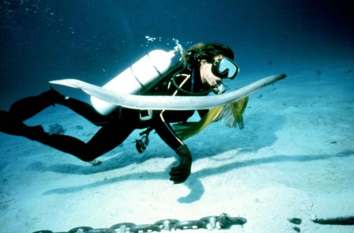 Sylvia Earle e la tutela della biodiversità marina