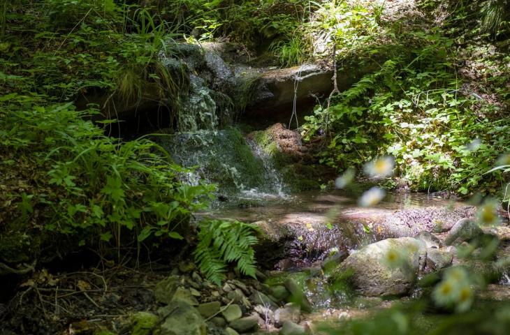 Creare un impatto idrico positivo rigenerando i cicli idrologici locali, l’impegno di Nestlé Waters