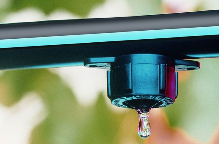 Irrigazione A Goccia Si Può Fare Anche Con Le Bottiglie Di