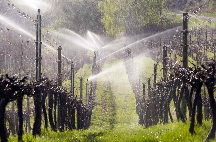 Acquavitis, presentato il progetto per studiare l’acqua che irriga i vigneti - In a Bottle