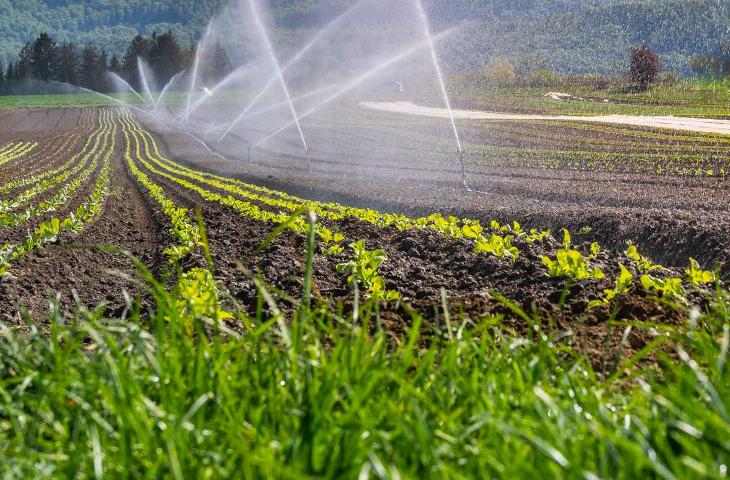 H2Agro, limita lo spreco d’acqua nelle coltivazioni 