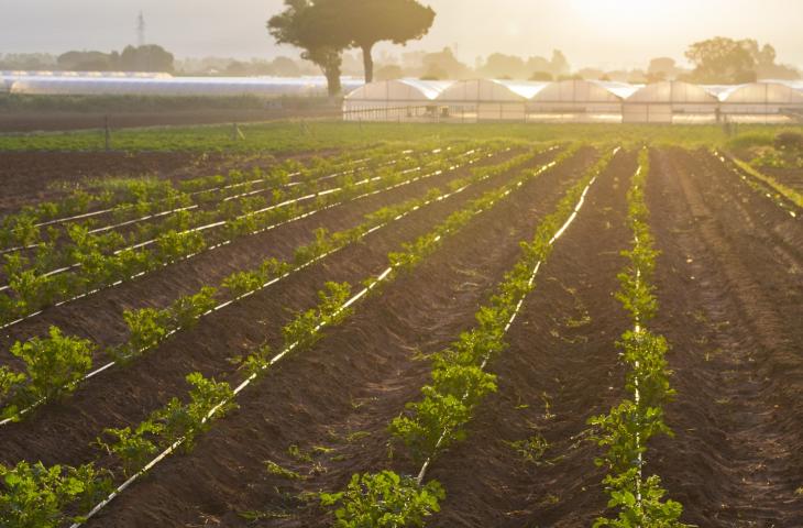 Quanto vale l’acqua utilizzata in agricoltura?