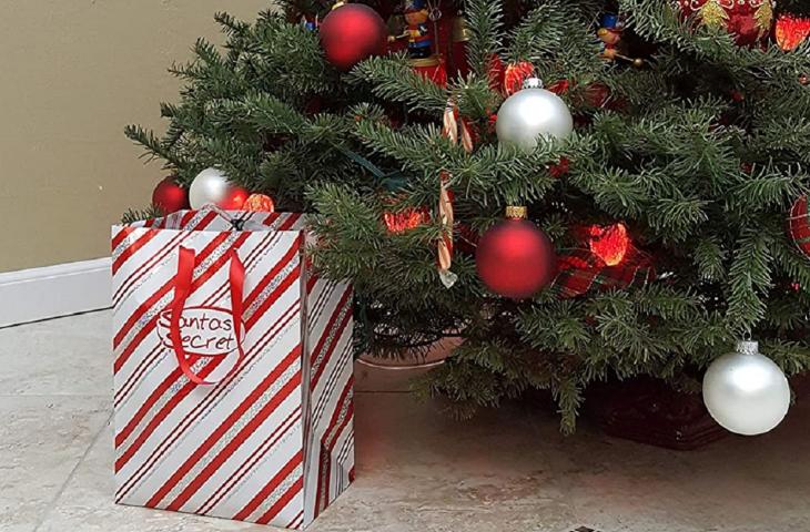 Come annaffiare l’albero di Natale, il sistema “travestito” da regalo