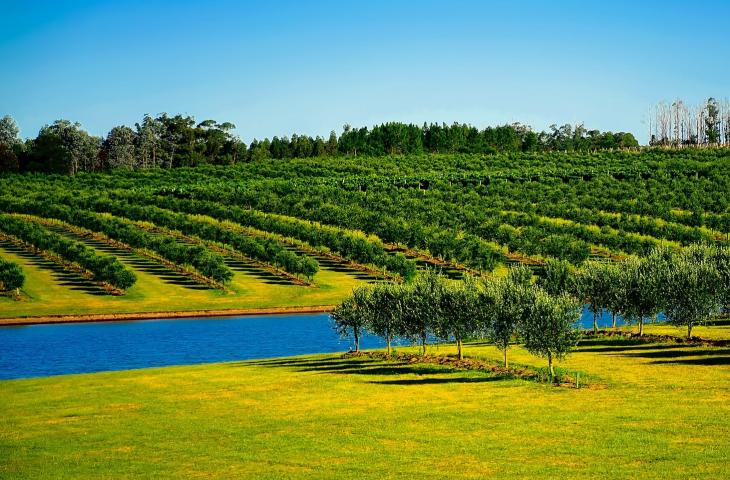 Anil Jain e l’ottimizzazione delle risorse idriche in agricoltura – In a Bottle