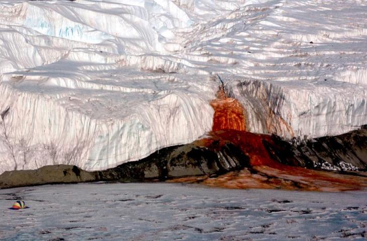 Antartide: svelato il mistero del ghiacciaio Taylor 