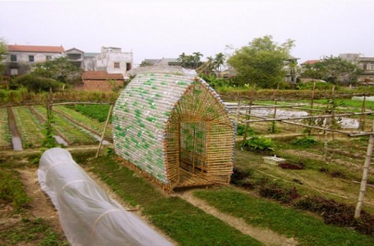 Vegetable Nursery Home