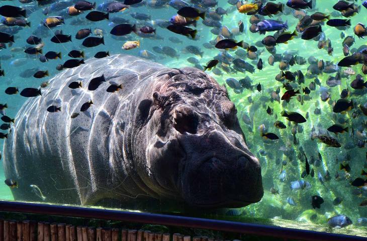 I bioparchi italiani più belli da visitare - In a bottle