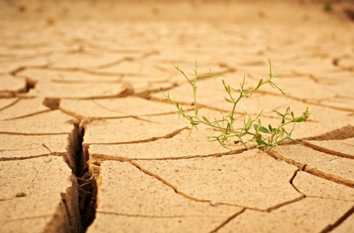 Assorbimento Acqua del Terreno Come Impatta il Cambiamento Climatico – In a Bottle