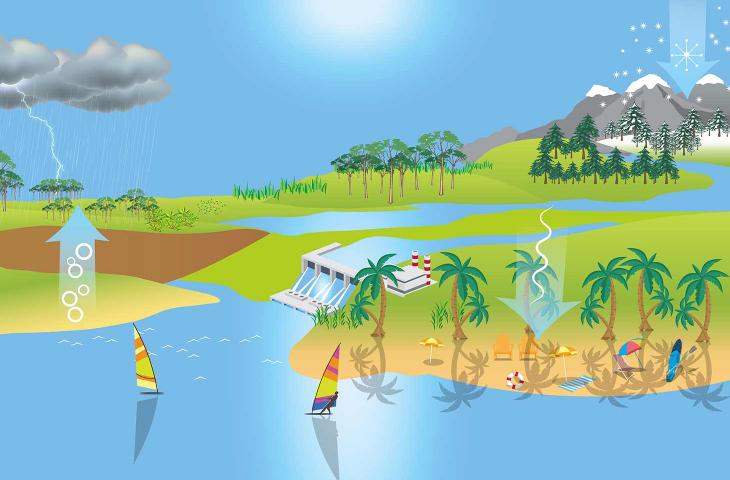 Che cos’è il ciclo dell’acqua: fasi, spiegazione e immagini