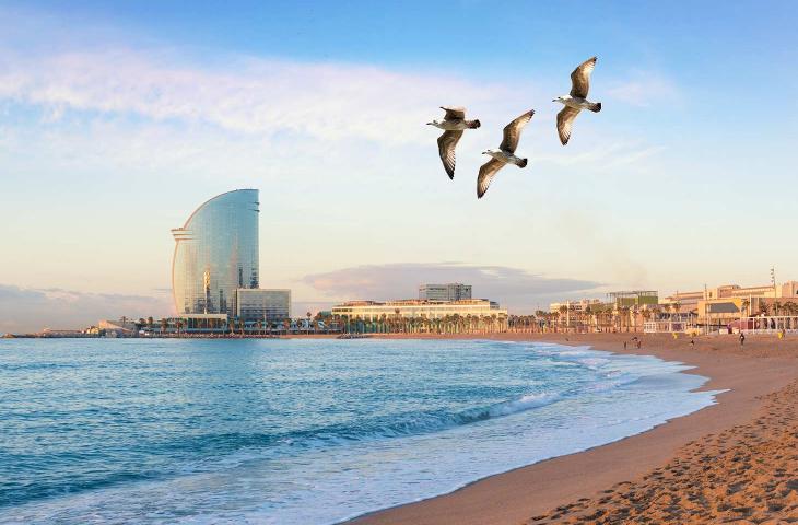 Città fantasma galleggiante al largo di Barcellona fiction o realtà - In a Bottle