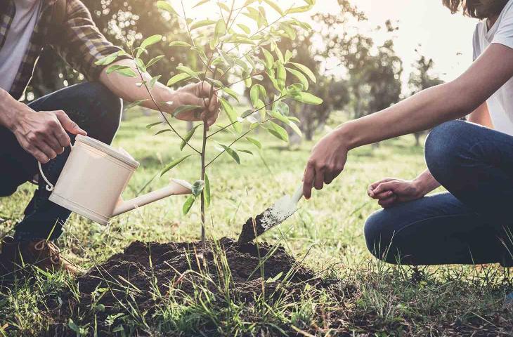 Dall’Inghilterra una start-up che insegna a coltivare piante con acqua di mare - In a Bottle