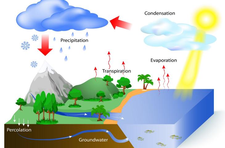 Come funziona il ciclo idrologico per la rigenerazione dell’acqua