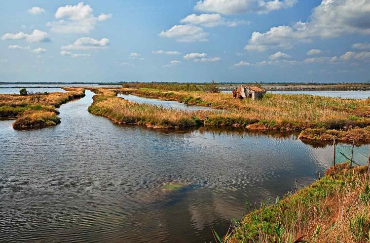 Delta del Po, nuovo tipo di vigilanza ambientale con l’utilizzo di droni - In a Bottle