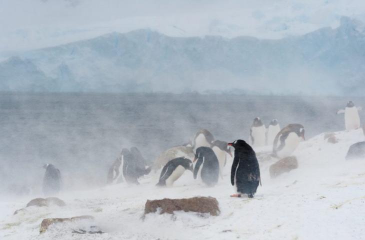 Effetto Clima, la natura che cambia nelle fotografie di Sergio Pitamitz