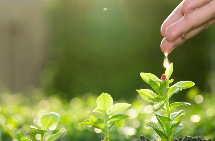 Gestione idrica migliore per aumentare la produzione agricola 